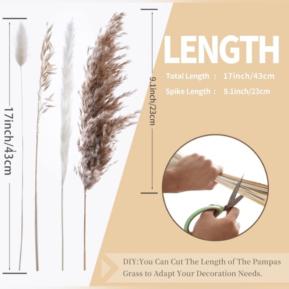 Pampas Grass NWT - Picture 5 of 5